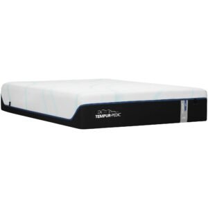 Previous Generation Tempur-Pedic TEMPUR-LuxeAdapt Soft Mattress