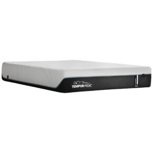Previous Generation Tempur-Pedic TEMPUR-ProAdapt Medium Mattress