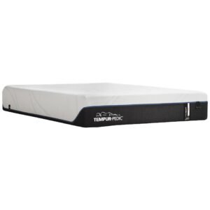 Previous Generation Tempur-Pedic TEMPUR-ProAdapt Soft Mattress