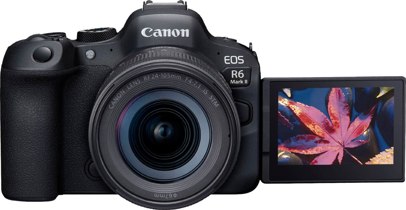 Canon EOS R6 Mark II with RF 24-105mm IS STM Lens - Image 3