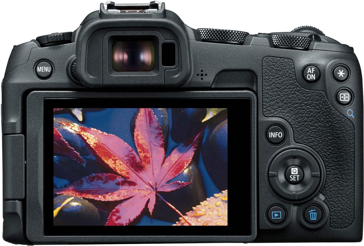 Canon EOS R8 Mirrorless Camera with RF 24-50mm Lens - Image 2