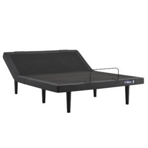 Tempur-Pedic Ergo ProSmart Base